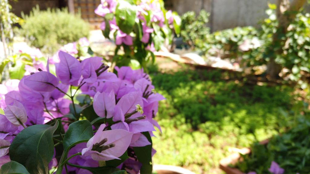 Apartman s vrtom - Slika 15